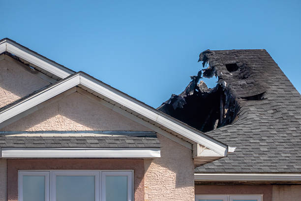 Top rated local Fire Damage Removal specialists in High Bridge, WA